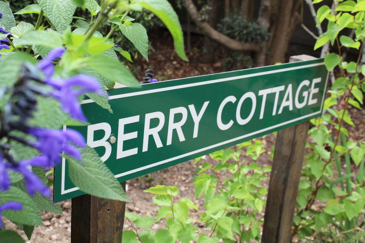 Вілла Wildebraam Berry Estate Свелендам Екстер'єр фото